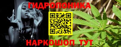 крисы Ливны