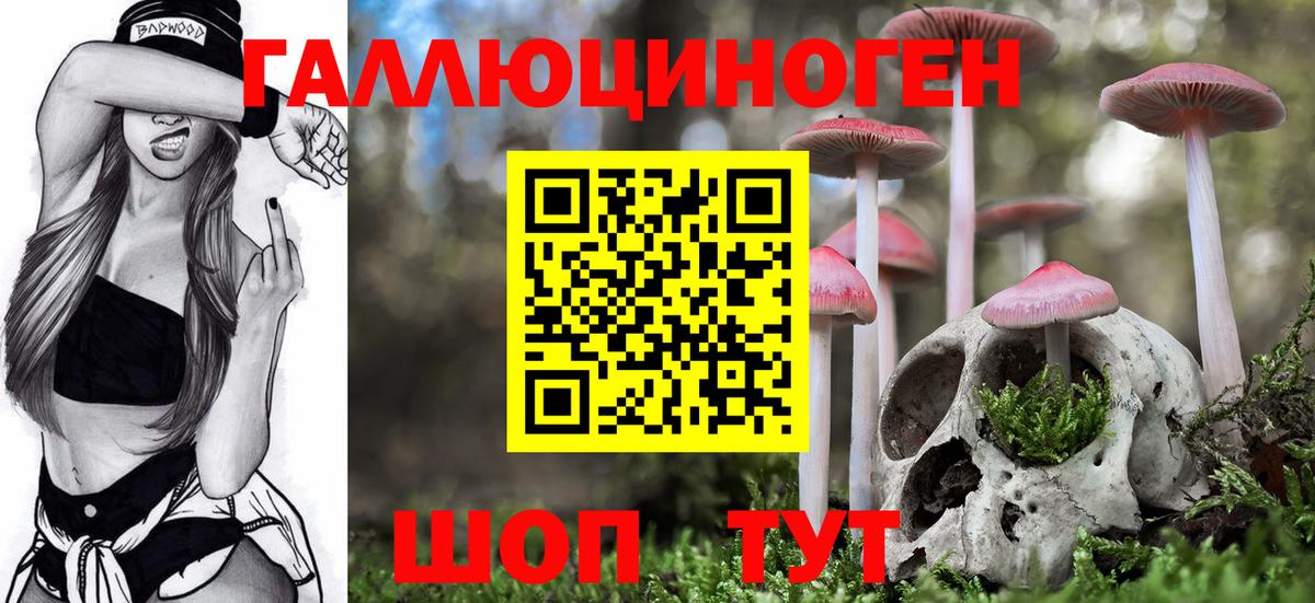 Псилоцибиновые грибы Magic Shrooms Советская Гавань