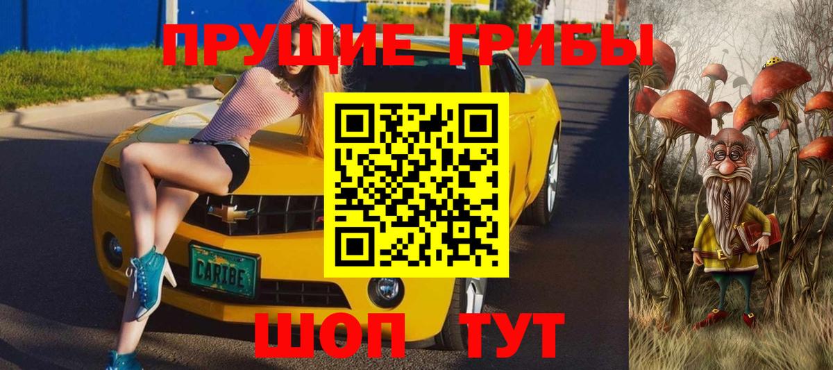 Советская Гавань  Псилоцибиновые грибы прущие грибы  Вход с VPN 