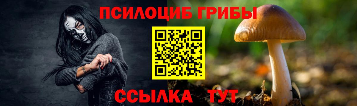 Псилоцибиновые грибы Psilocybine cubensis  Вход с VPN  Советская Гавань 